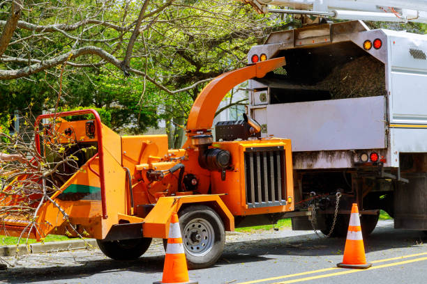 Best Seasonal Cleanup (Spring/Fall)  in Fort Atkinson, WI
